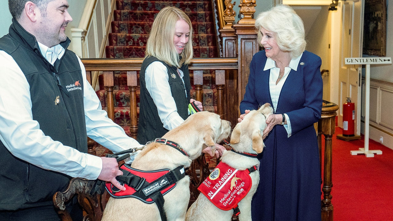 המלכה קמילה מעניקה לכלבים רפואיים את הטיפול המלכותי