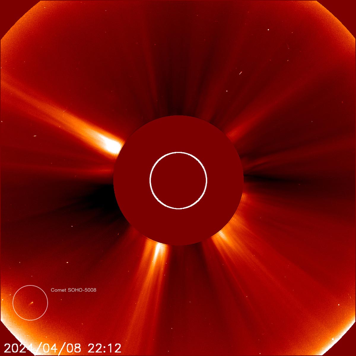 Comet SOHO-5008 in LASCO C2