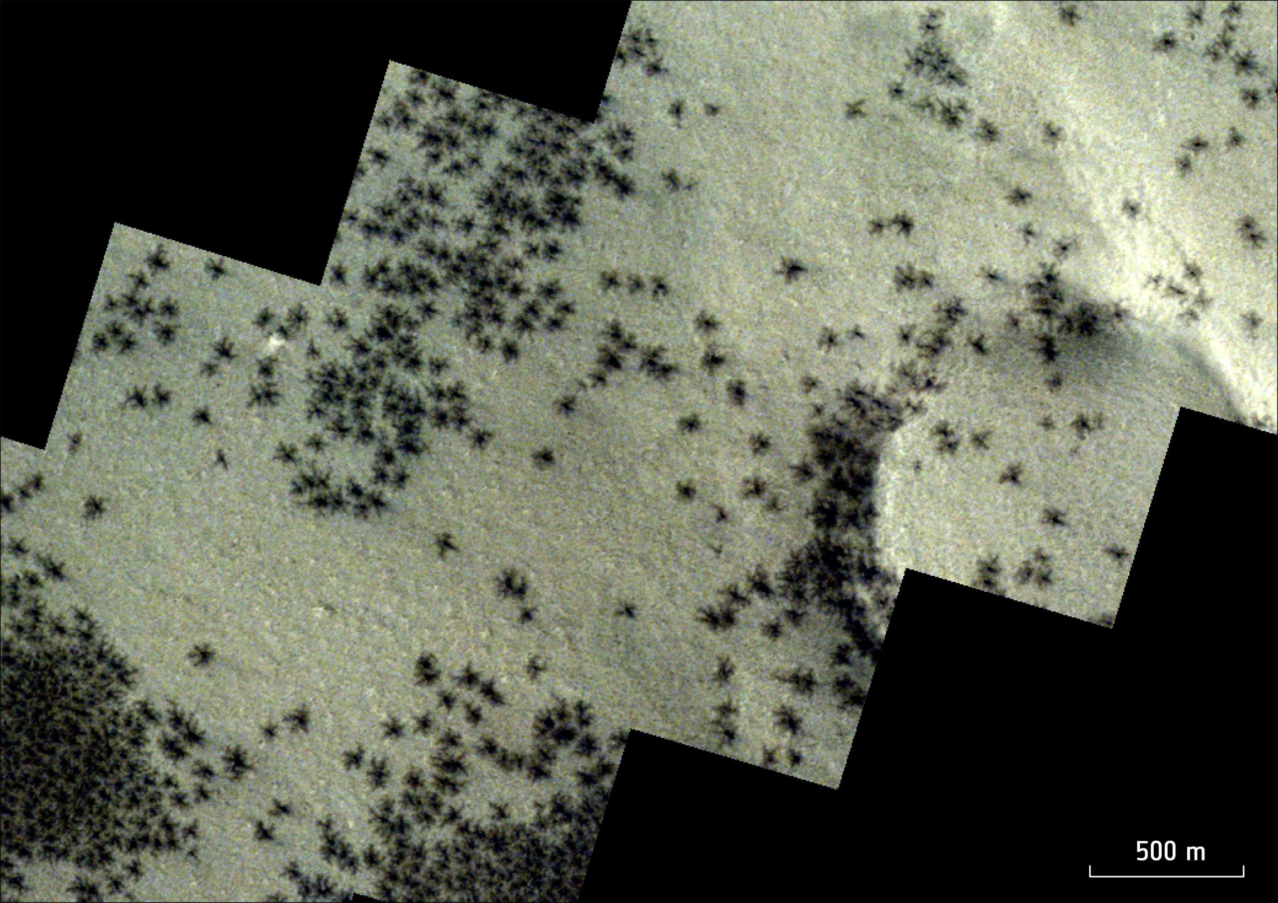 מארס אקספרס מגלה "עכבישים" מסתוריים של מאדים