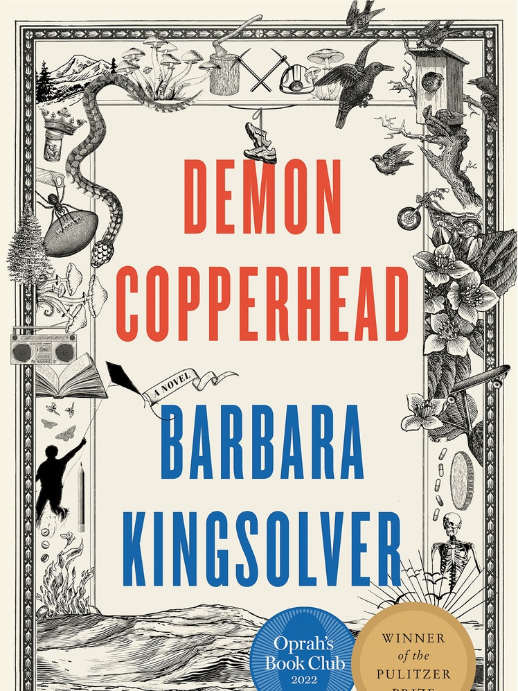 התמונה עשויה להכיל: ספר, הוצאה לאור, רומן, קומיקס, מבוגר, אדם, חיה וציפור