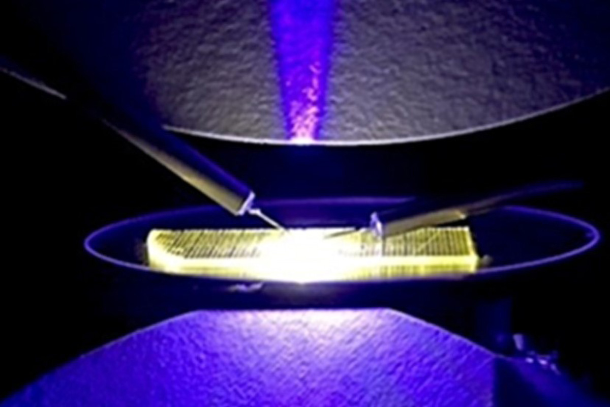 SciTechDaily