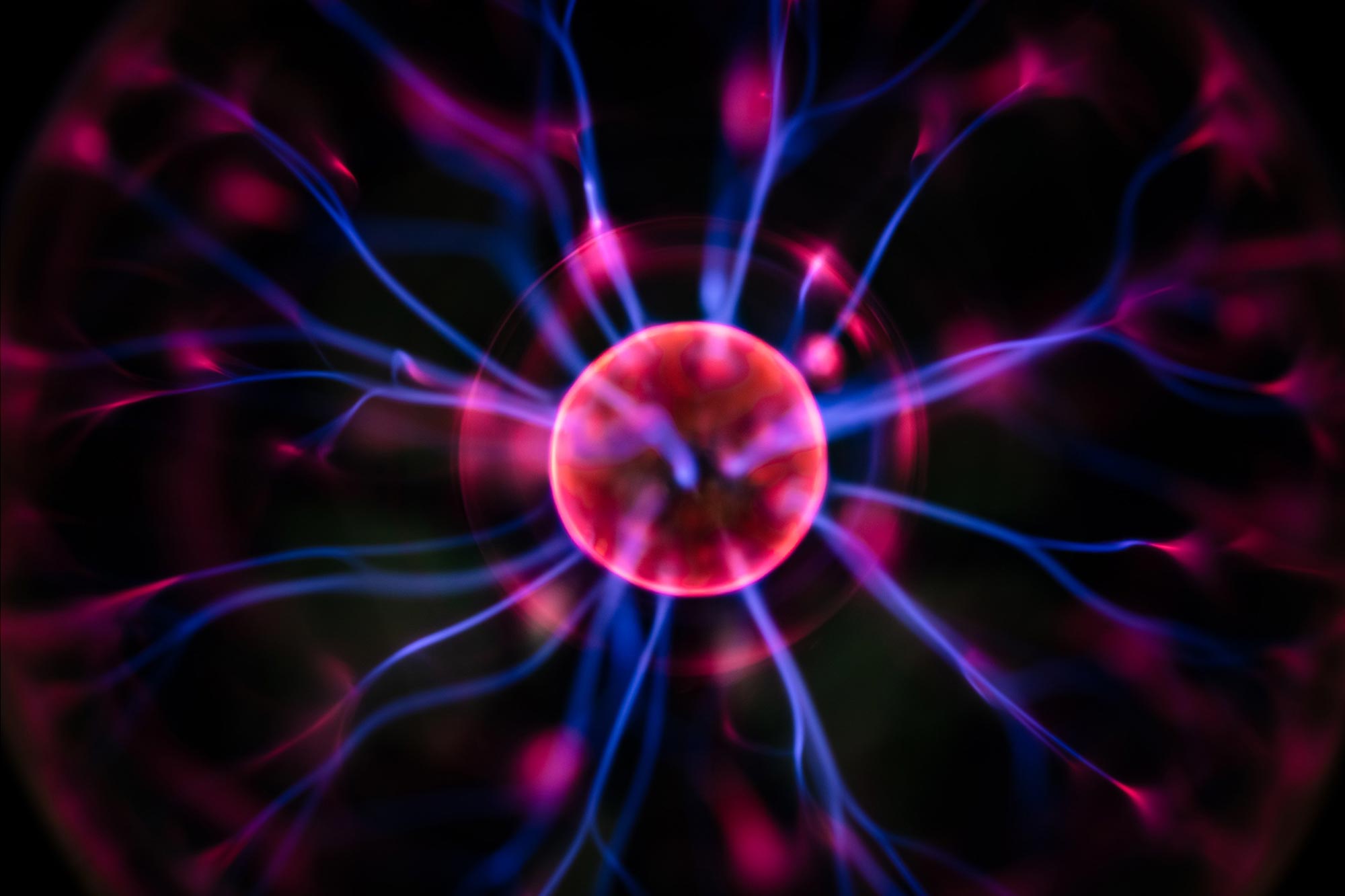 SciTechDaily