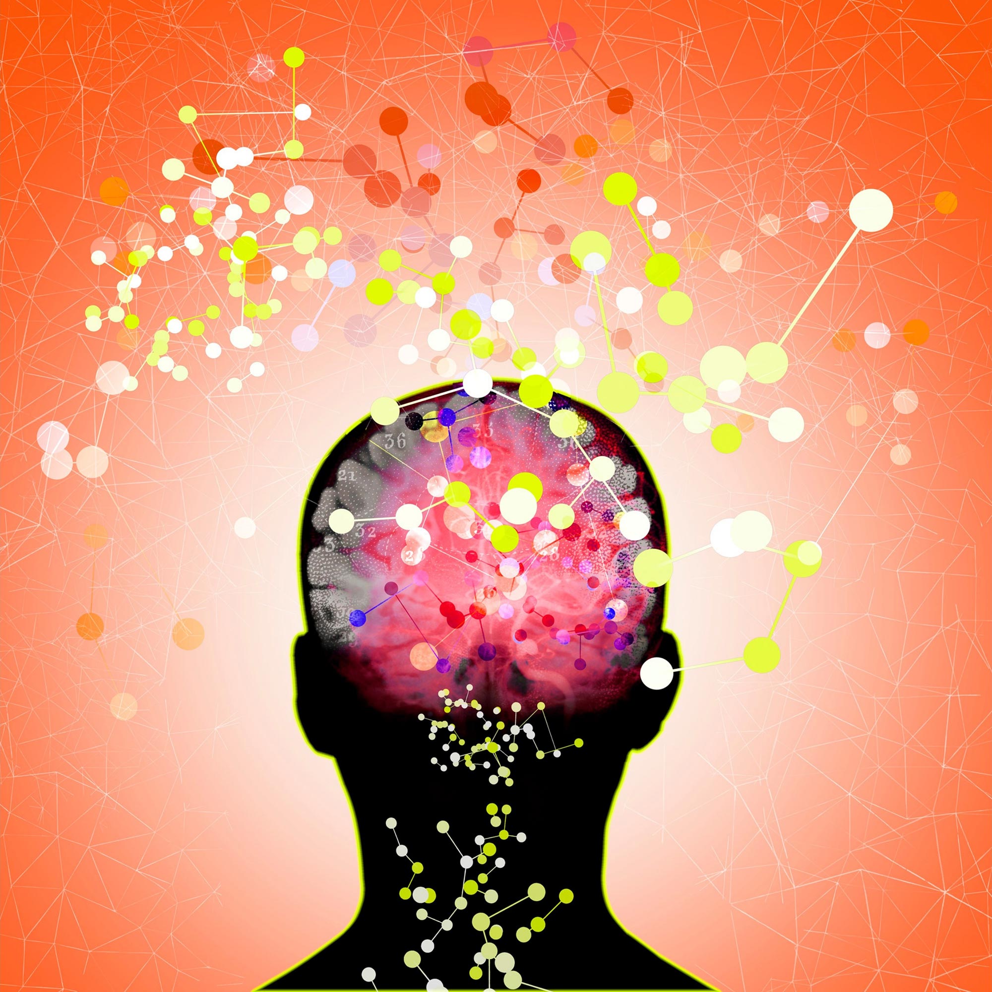 SciTechDaily
