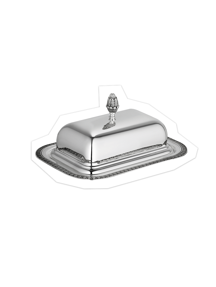 התמונה עשויה להכיל: כסף, מכשיר, דשא, דשא, מכסחת דשא, צמח וכלי עבודה