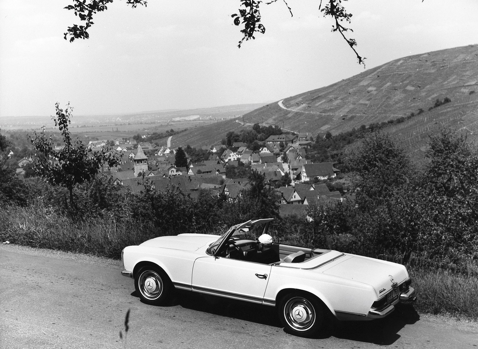 התמונה עשויה להכיל חישור למכונית גלגל צמח להמרה עץ עץ כיפי אדם וטיול בכביש