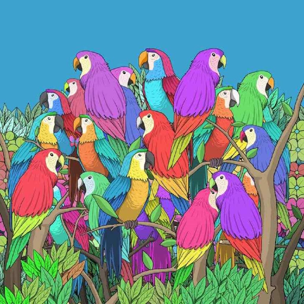 אשליה אופטית