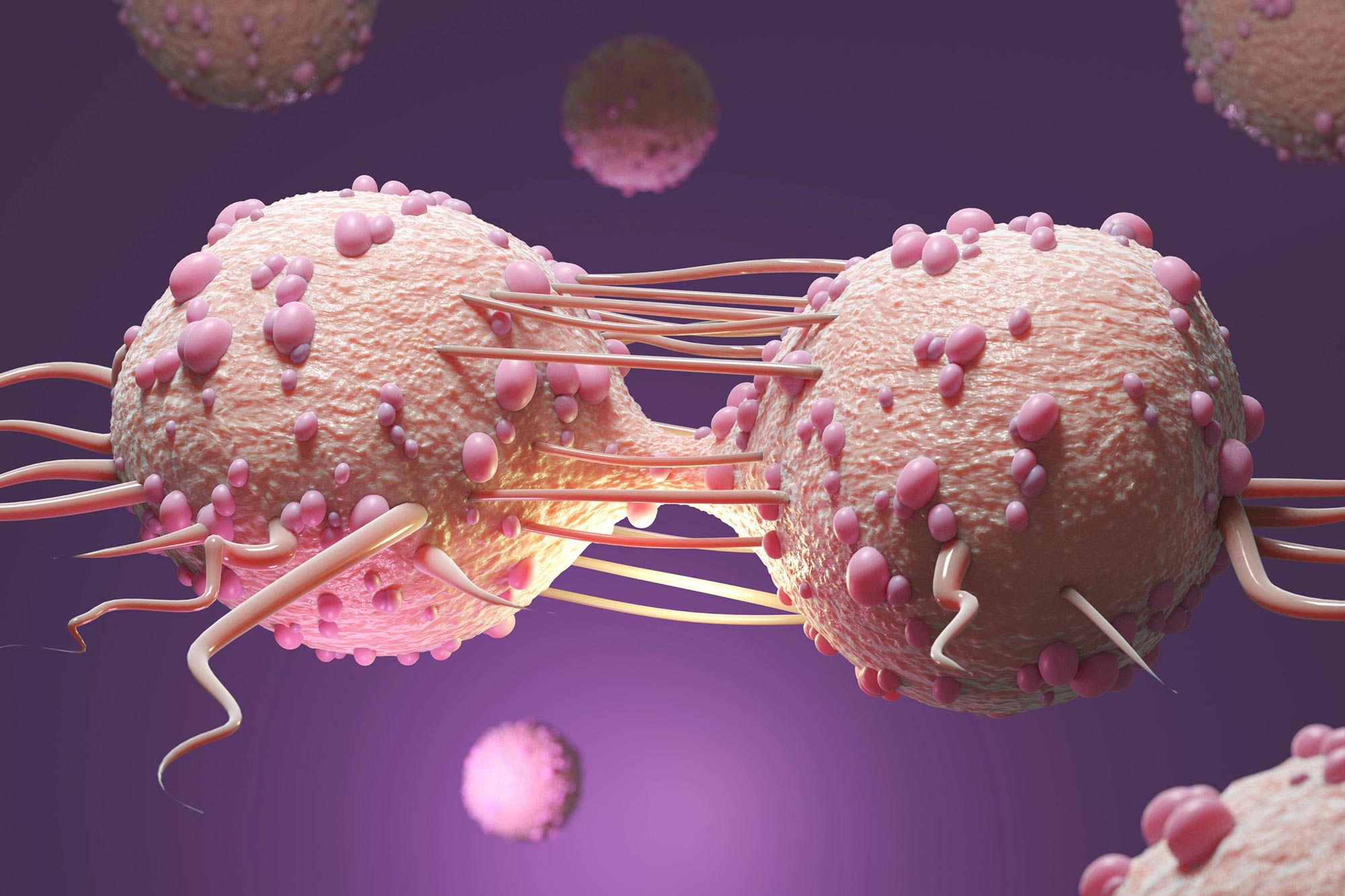 SciTechDaily