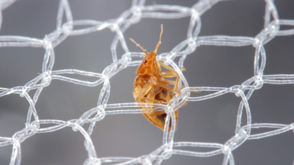 SciTechDaily