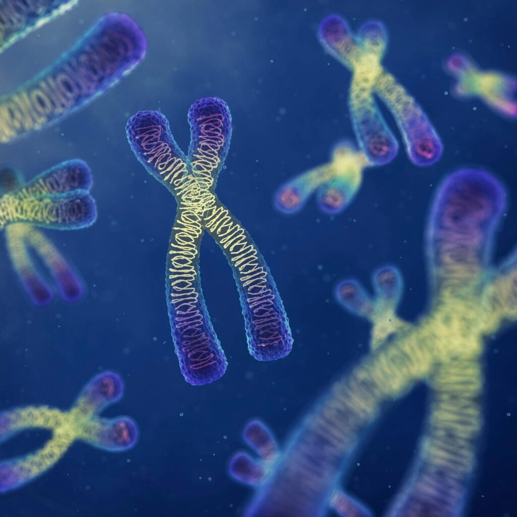 SciTechDaily