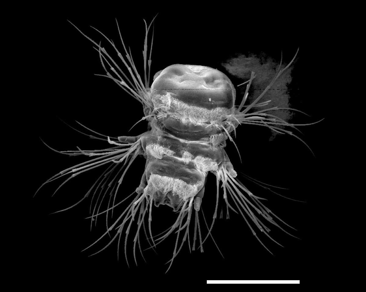 SciTechDaily