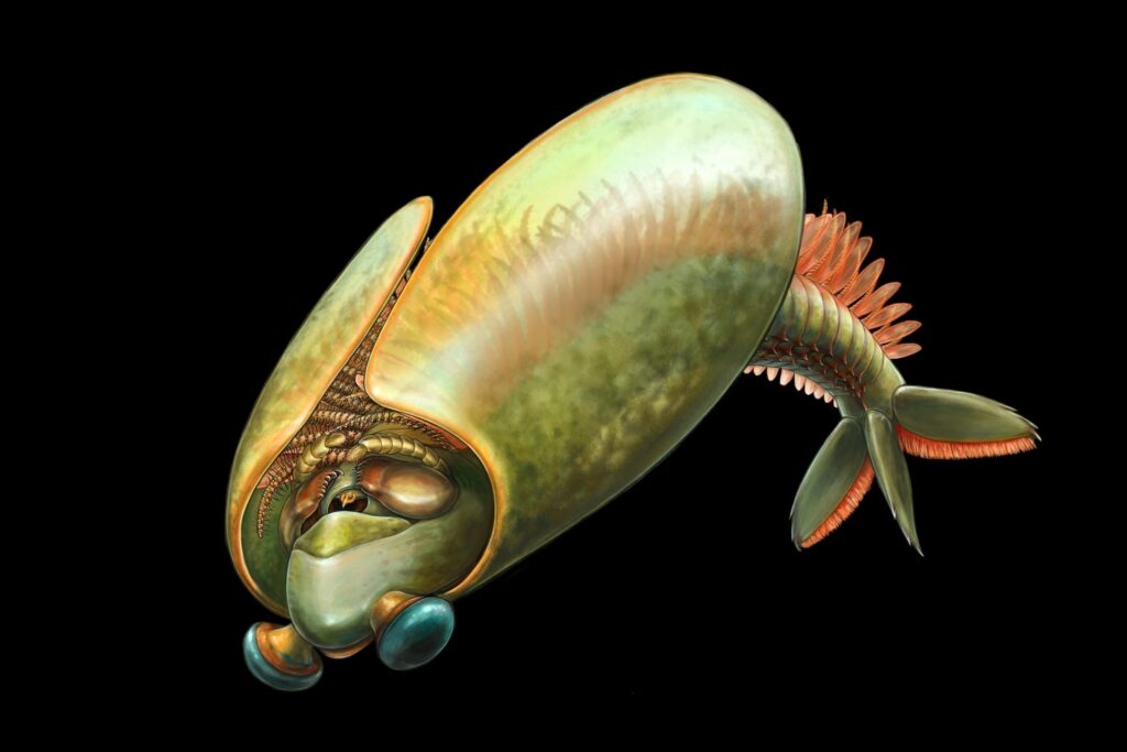 SciTechDaily