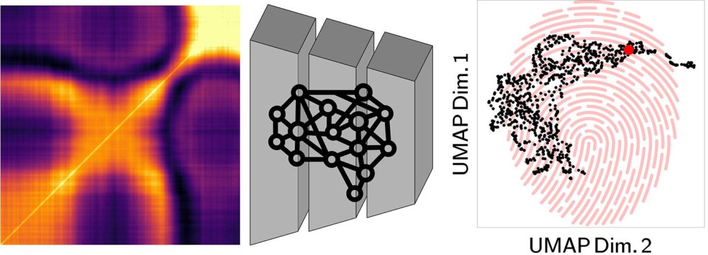 SciTechDaily