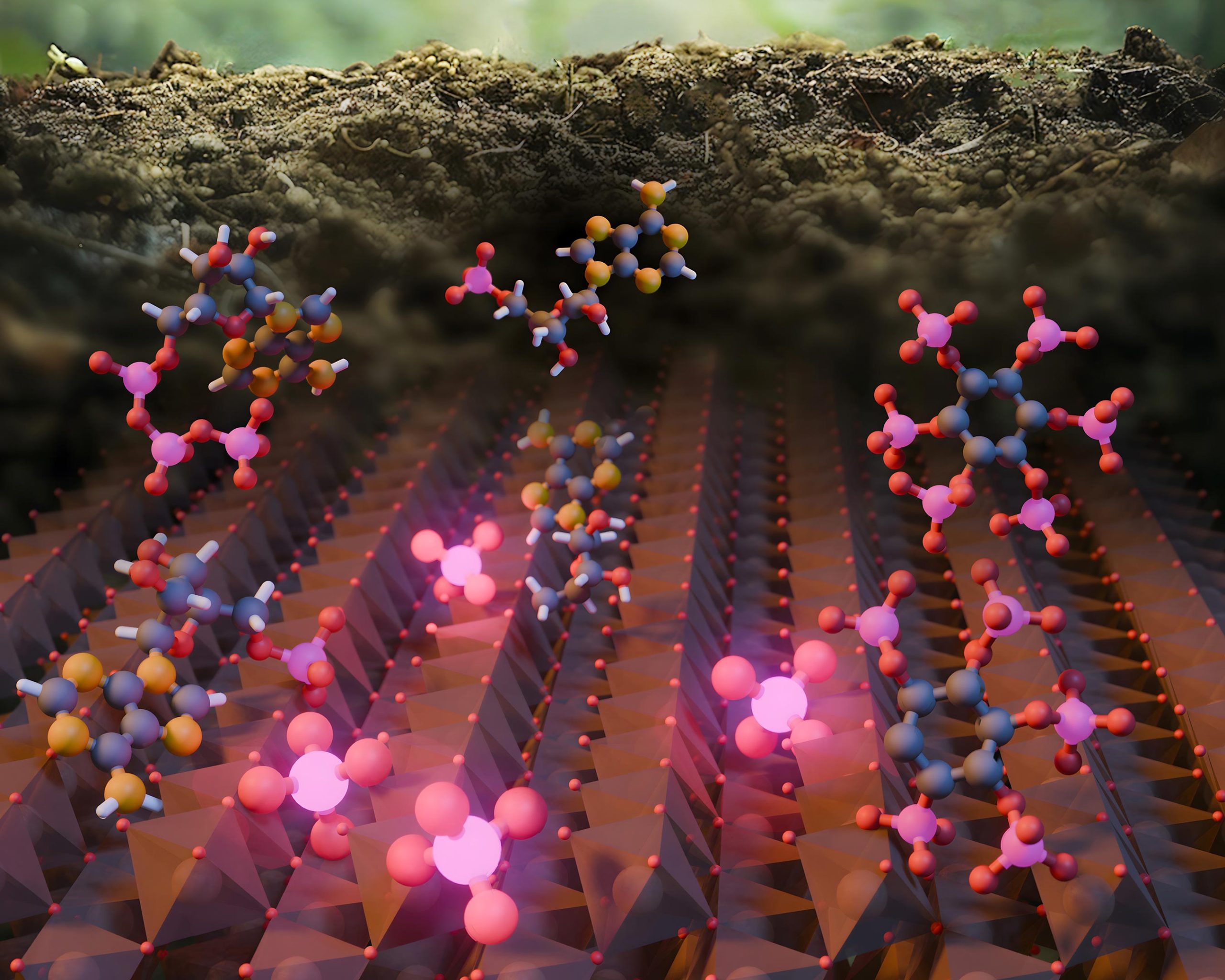 SciTechDaily