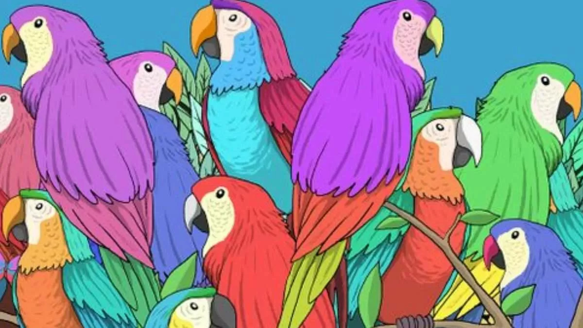 אשליה אופטית