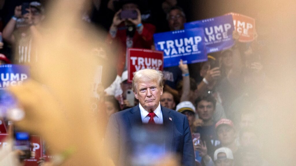 דונלד טראמפ כינה את קמאלה האריס "כלבה" מספר פעמים: NYT