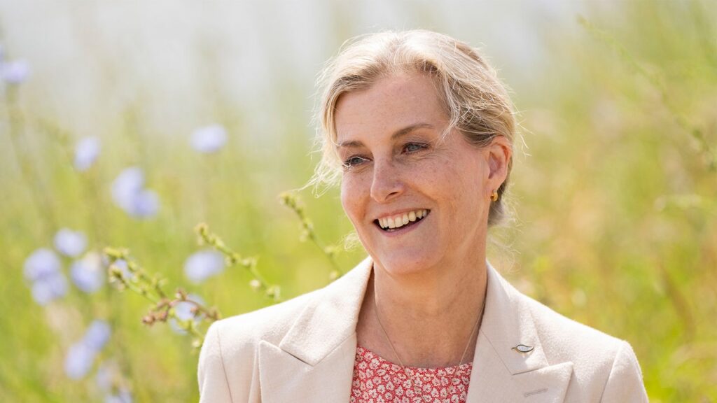 הדוכסית סופי מפליגה במהלך האירוסין המלכותי האחרון שלה