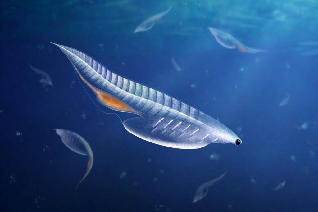 SciTechDaily