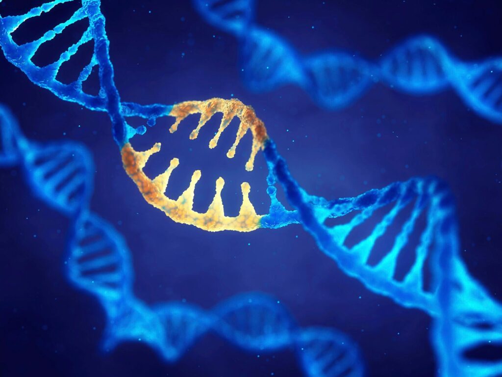 SciTechDaily