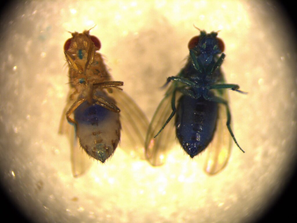 SciTechDaily