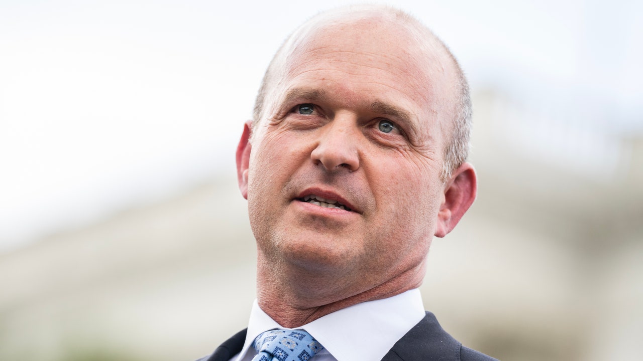 אין מה לראות כאן, רק המוח של פרויקט 2025 שמספר לאנשים לכאורה שהוא הרג את הכלב של השכן שלו עם חפירה