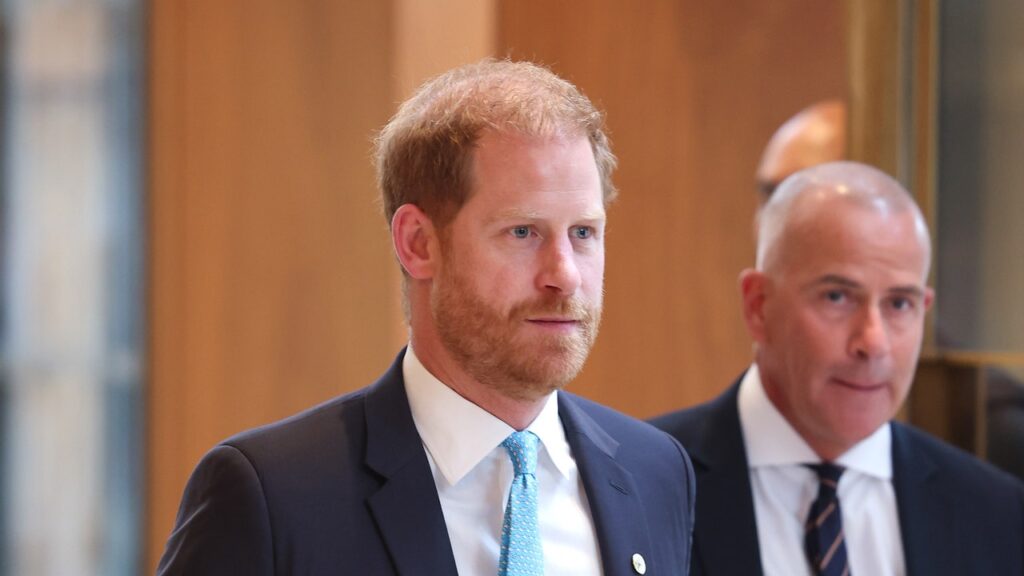 הנסיך הארי קורא להורות "רכבת הרים רגשית", מעורר הנהנוני ראש ברחבי העולם