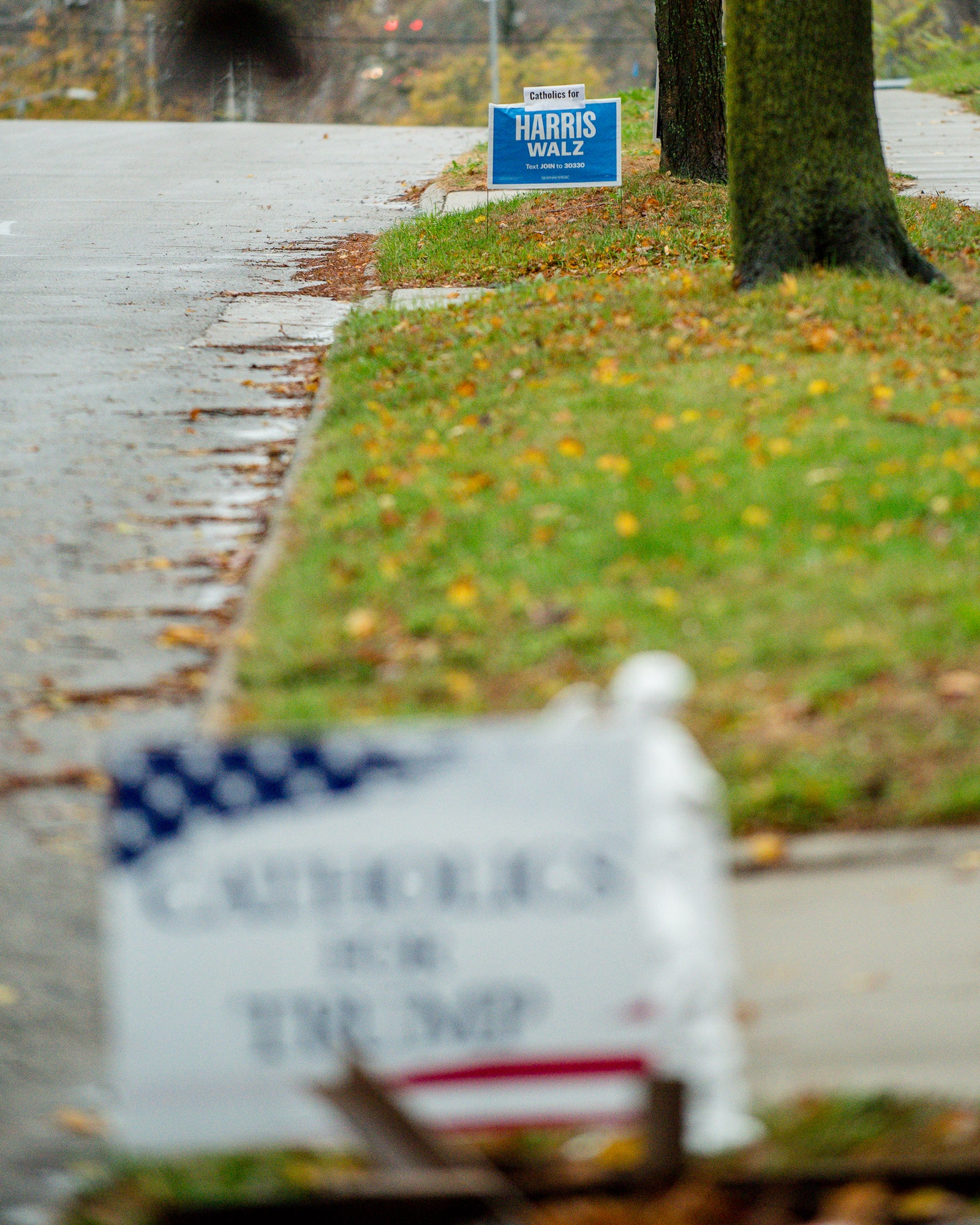 התמונה עשויה להכיל נתיב מדרכה כביש דשא צמח עץ סימן סמל אספנות אדם ועיר