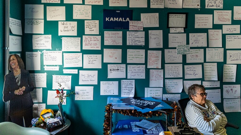 איך נראות הבחירות של 2024 ב-7 מדינות בשדה הקרב