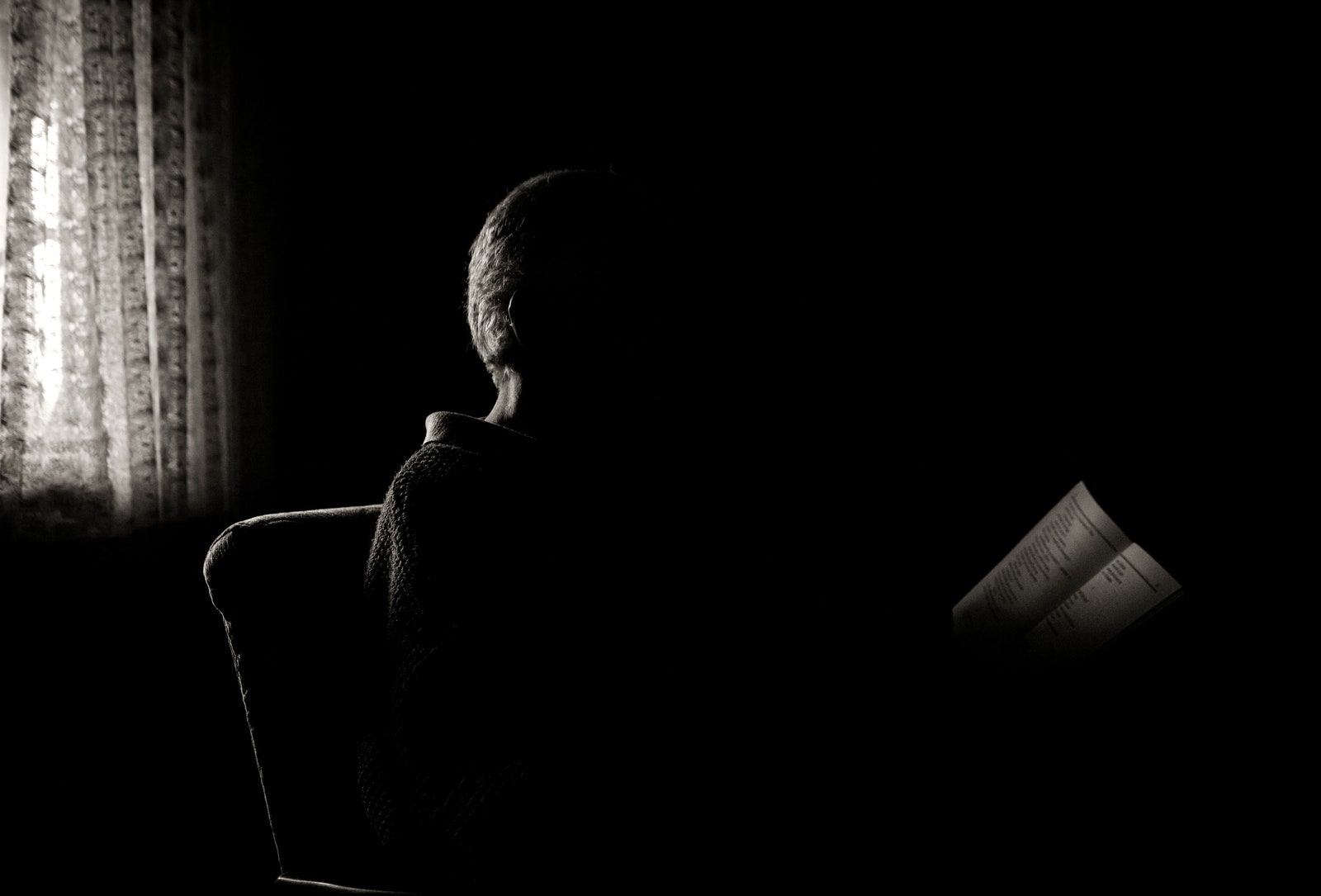 התמונה עשויה להכיל ספר ופרסום למבוגרים שקורא צללית של אדם