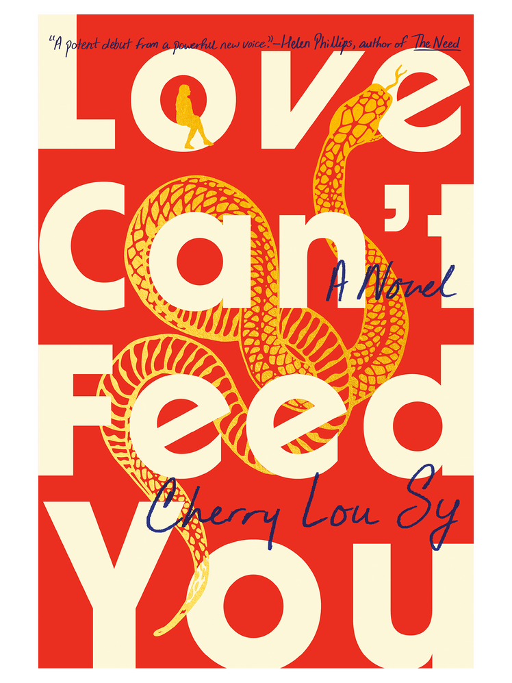 התמונה עשויה להכיל: פרסומת, פוסטר, פרסום, ספר, אדם וטקסט