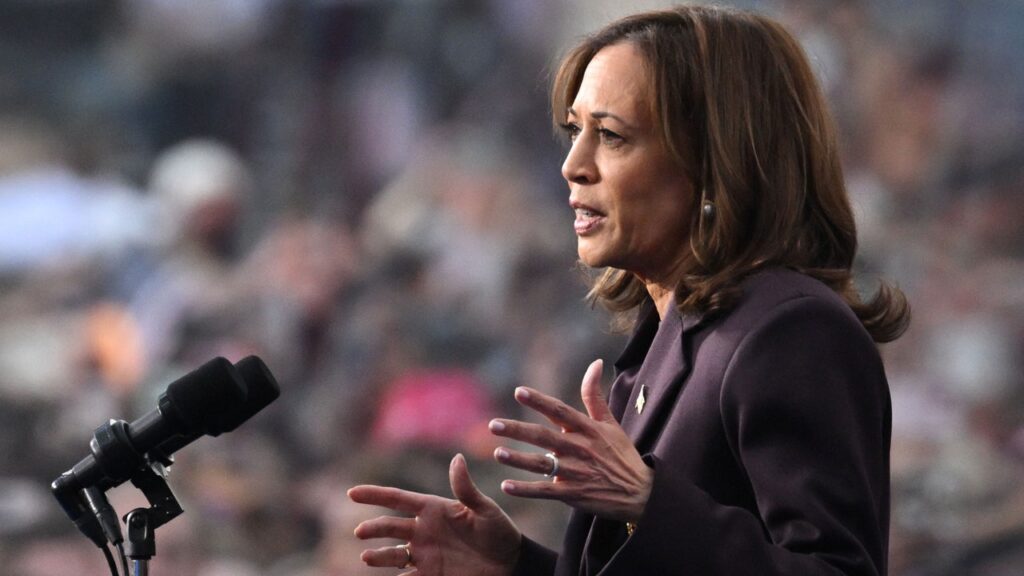 קמאלה האריס: "לפעמים הקרב לוקח זמן - זה לא אומר שלא ננצח"