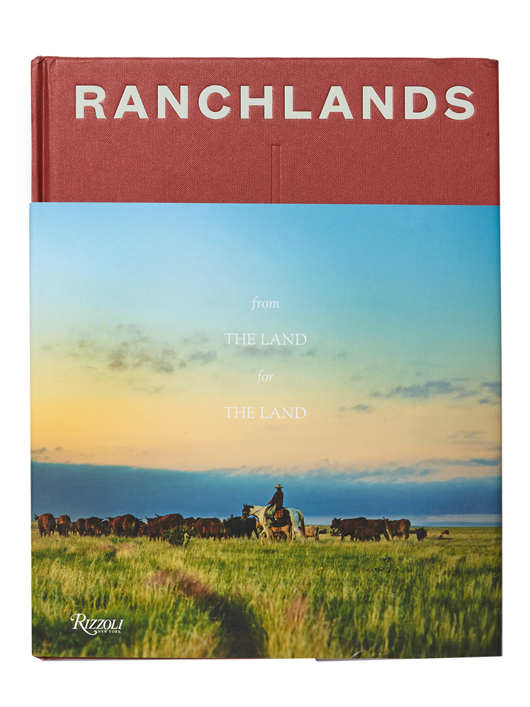 התמונה עשויה להכיל: ספר, פרסום, דשא, צמח, רומן, אדם, שדה, מרעה, טבע, בחוץ, בעל חיים ובקר