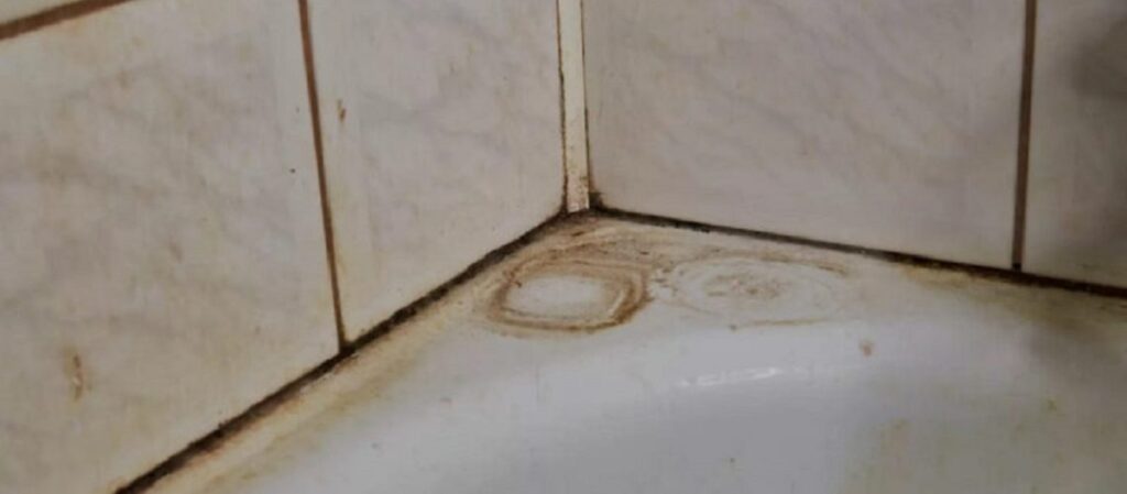 איך לנקות בקלות את חריצי האריחים בחדר האמבטיה בלי להשתמש בחומץ או אקונומיקה