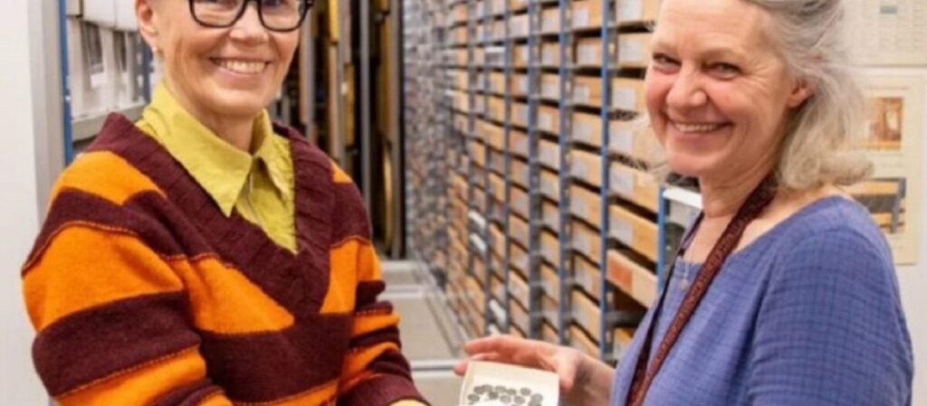 ארכיאולוגים בשוודיה גילו אוצר יקר ערך בקבר בן 900 שנה