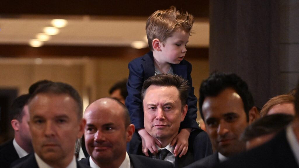 מאסק ורמאסוואמי מזהירים שהם מרכיבים "רשימה שובבה ונחמדה"