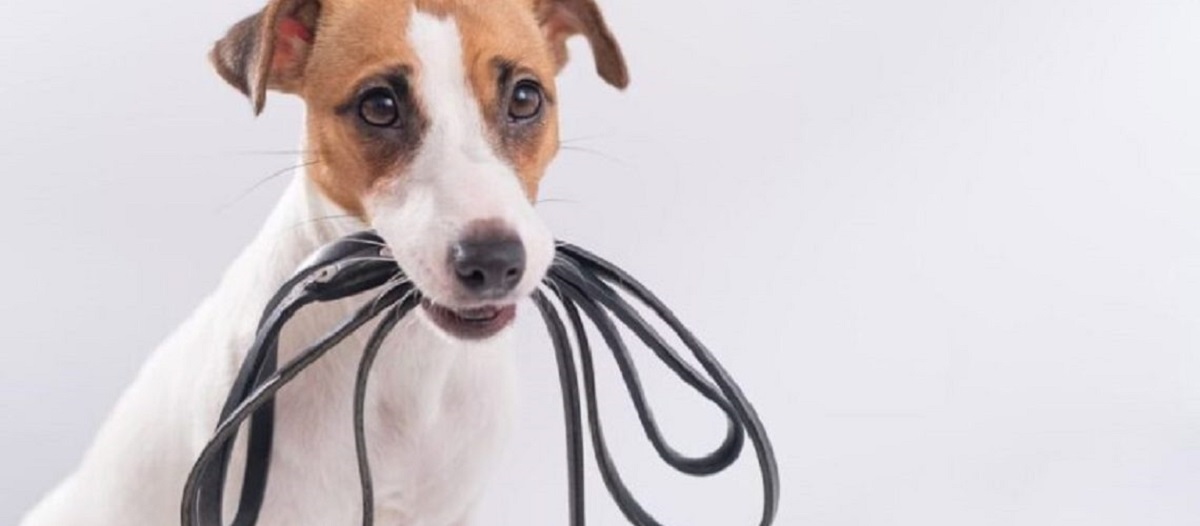 מהי משך הזמן