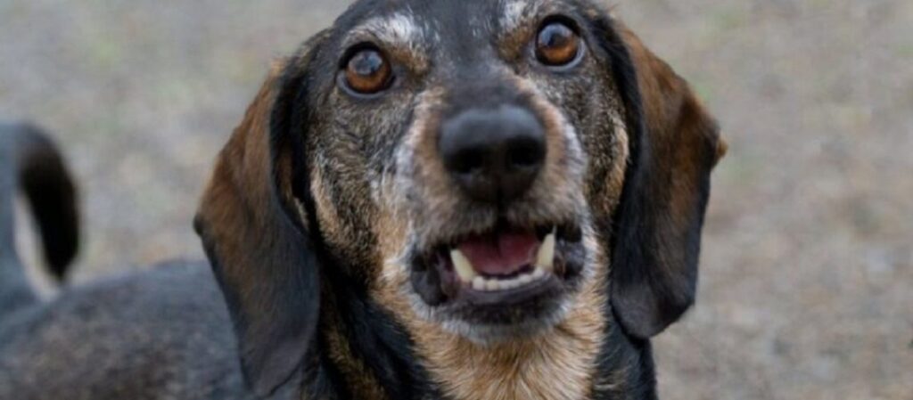 מסוימים ולא על אחרים