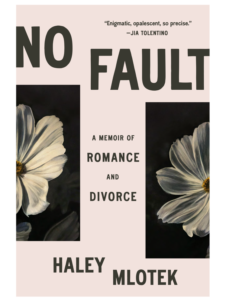 תמונה עשויה להכיל: פרחים, עלה כותרת, צמח, דייזי, פרסום, פרסומת, פוסטר וטקסט