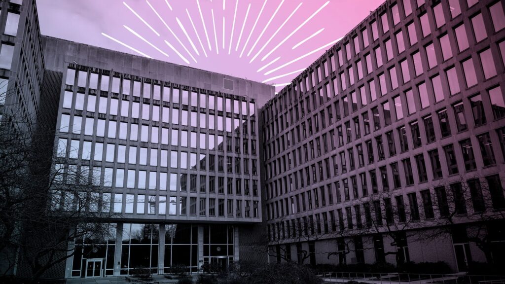 McLaurine Pinover, מגן ה- Doge PR של אלון מאסק, מציג אתיקה מפוקפקת וסגנון מפוקפק