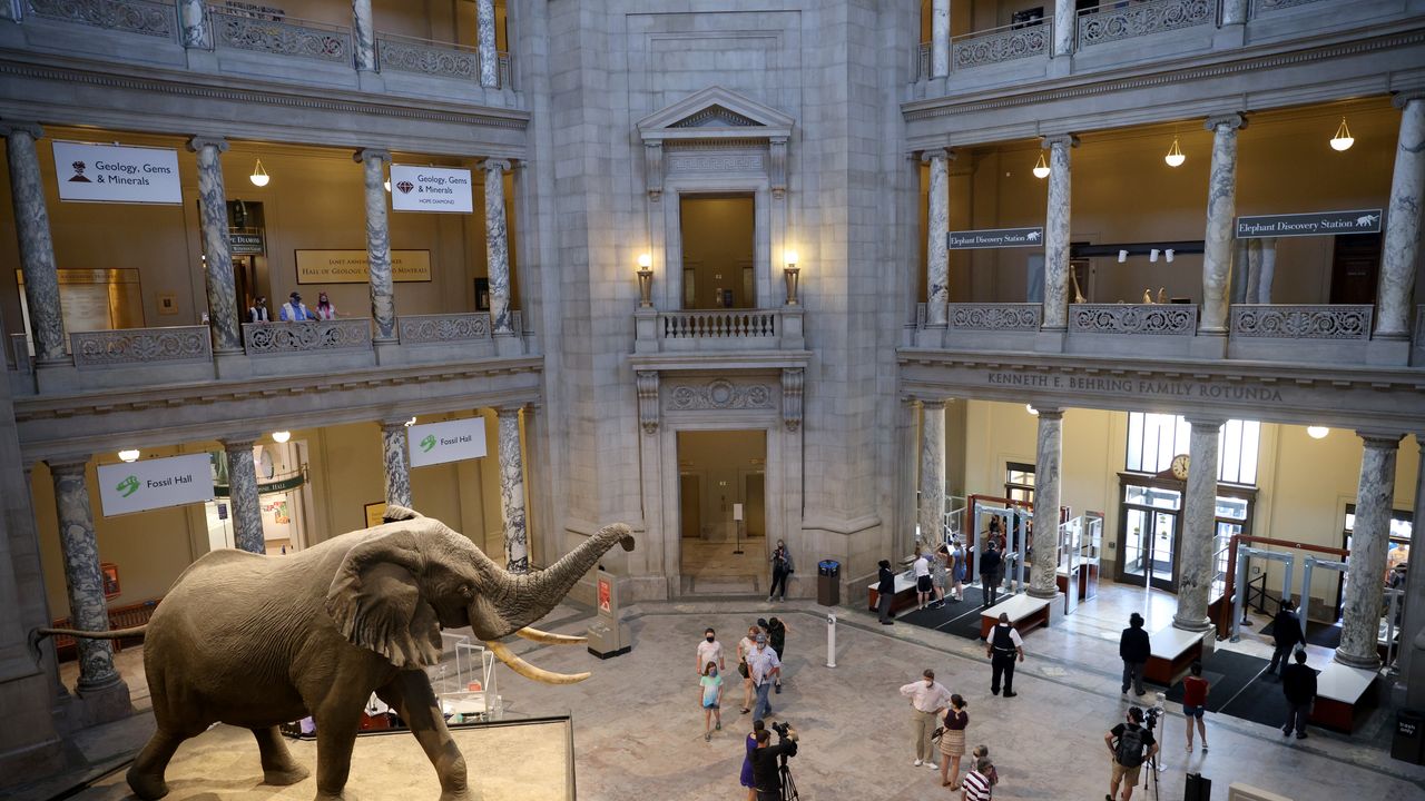 טראמפ מכוון לסמית'סוניאן: מה באמת סדר "האידיאולוגיה הלא תקינה" שלו