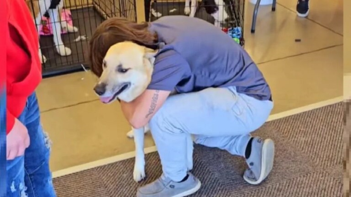 לאחר חודש של חיפוש