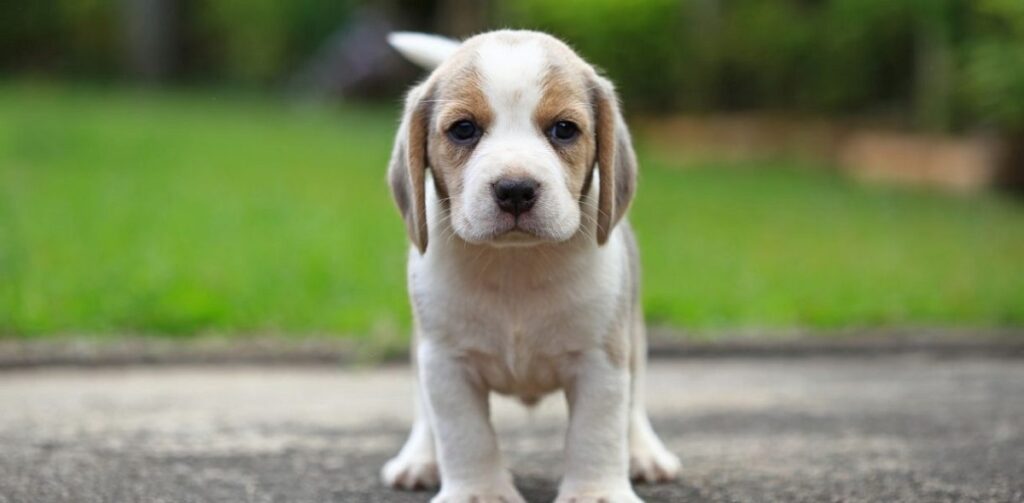 10 תגלו מי יכבוש לכם את הלב