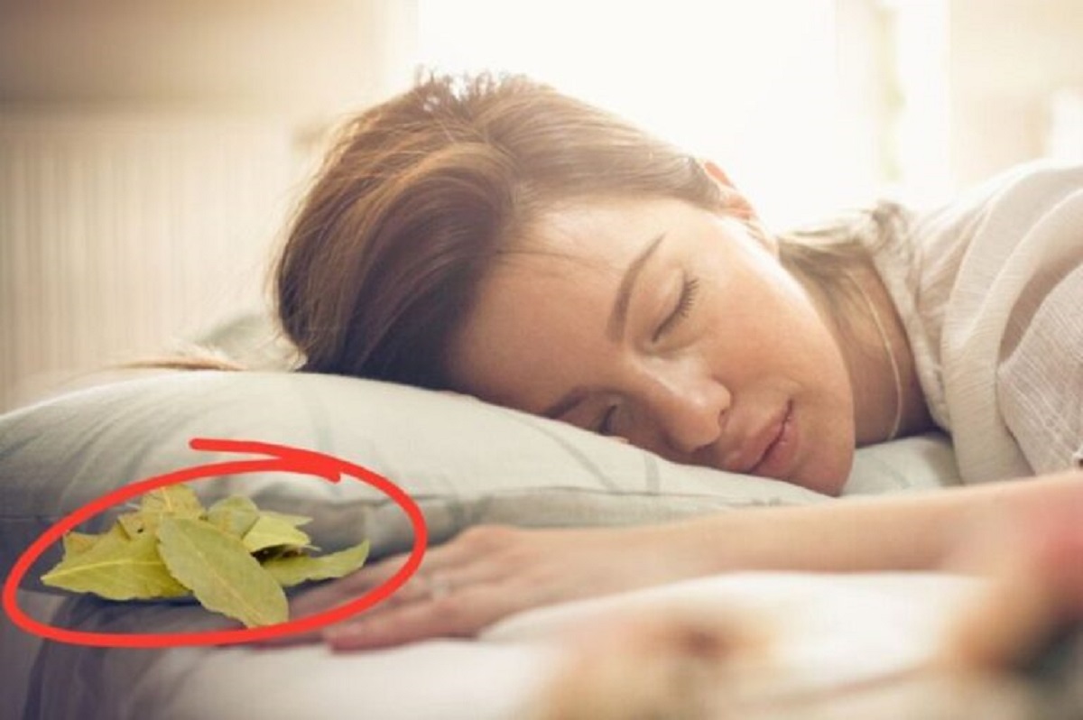 למה כולם שמים עלה