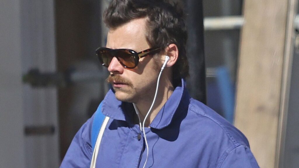 האם הארי סטיילס היה בוותיקן כדי להציץ באפיפיור ליאו?