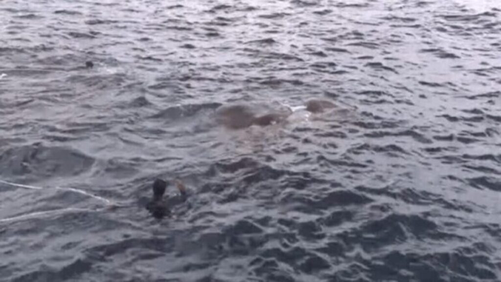 התשובה תדהים אתכם