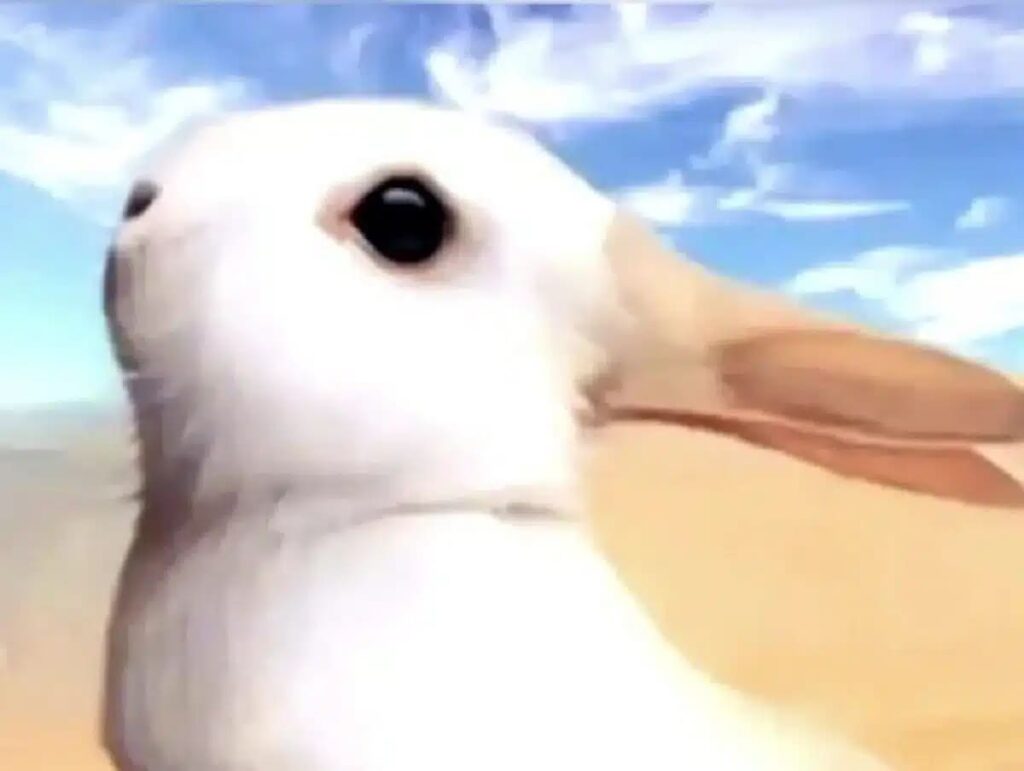 מבחן אישיות