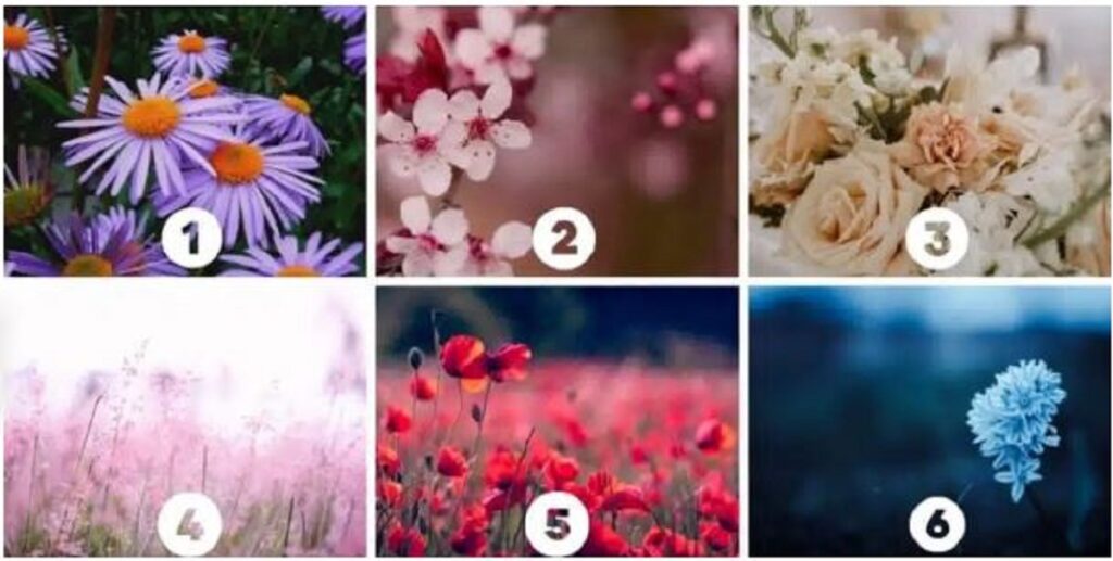 מבחן אישיות