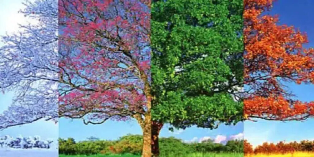 מה העונה האהובה עליכם