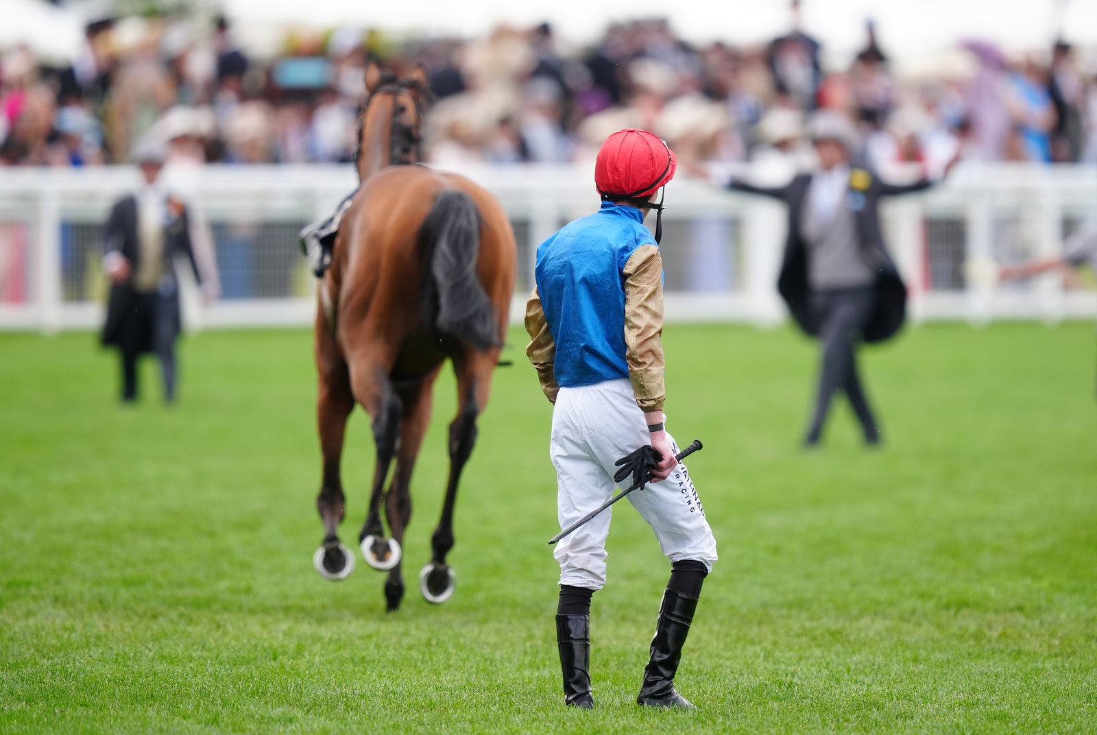 תמונה עשויה להכיל כפפת בגדים קסדת שדה אדם אדם אנשים אביזרים תיק תיק חיה וסוס למבוגרים