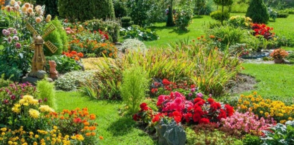 7 פרחים לשתילה