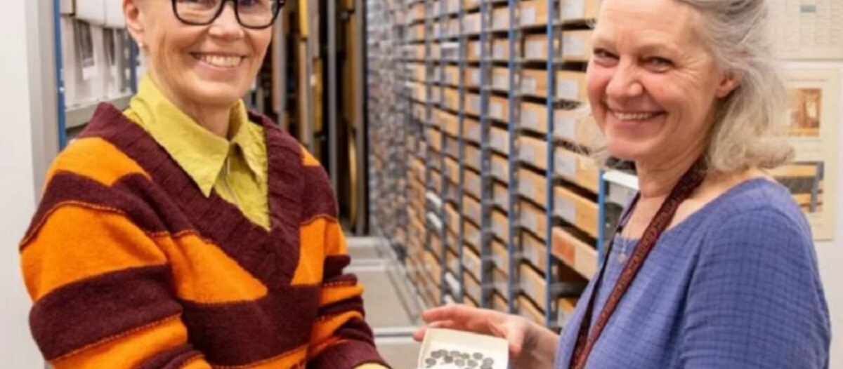 ארכיאולוגים בשוודיה